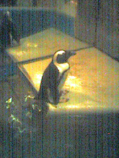 050807_0314~001.jpg
