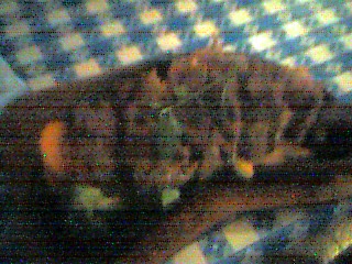 050822_1200~001.jpg