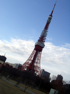 P1140006.jpg