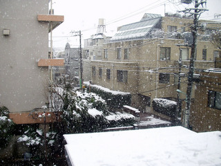 P1200001.jpg