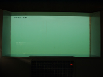 PB180113.JPG