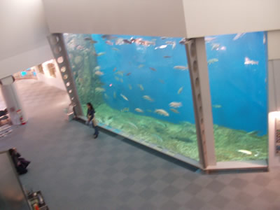 PB180119.JPG