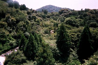 舞台からの眺め　その１