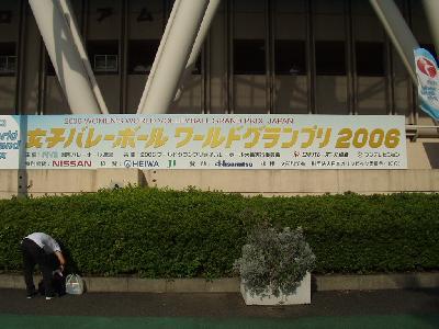 女子バレー　ワールドグランプリ2006